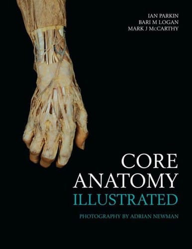 Core anatomy