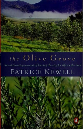 The Olive Grove