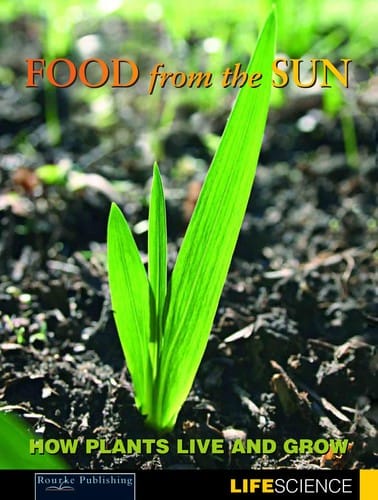 Food from the sun