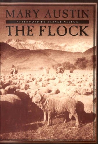 The flock