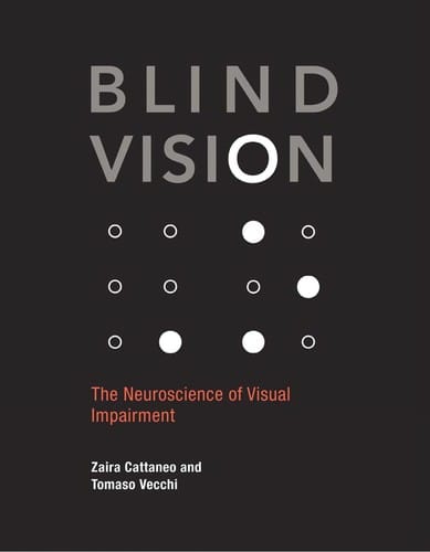 Blind vision
