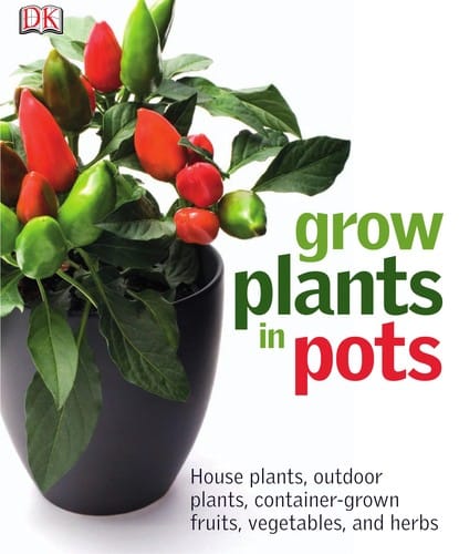 Grow plants in pots
