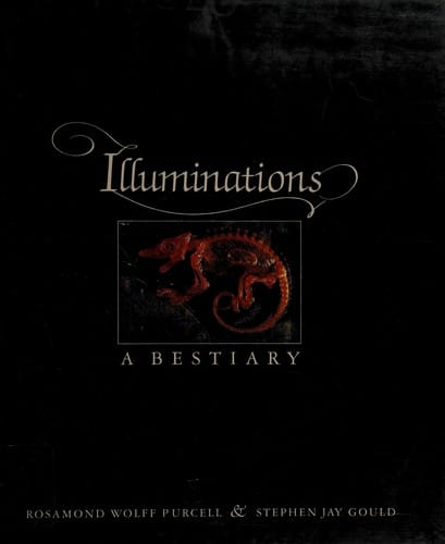 Illuminations