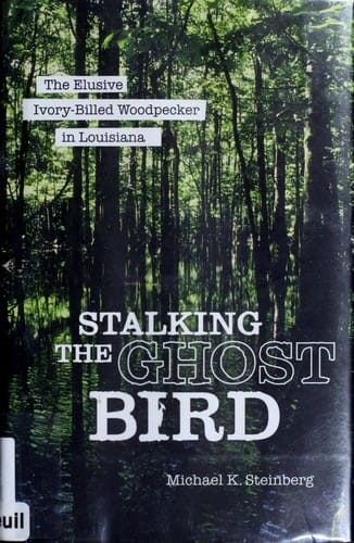 Stalking the ghost bird