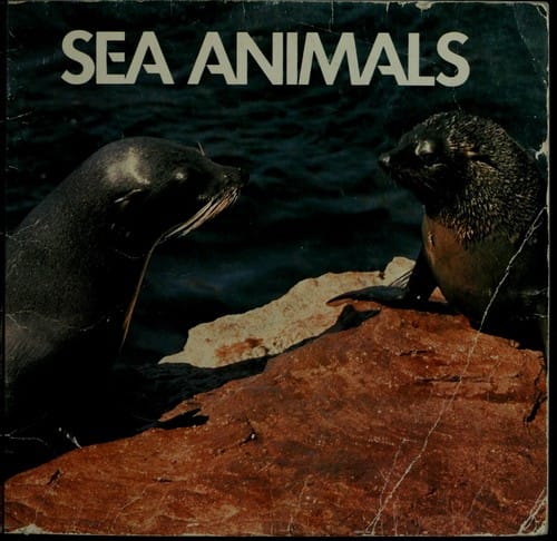 Sea animals