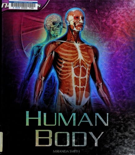 Human body