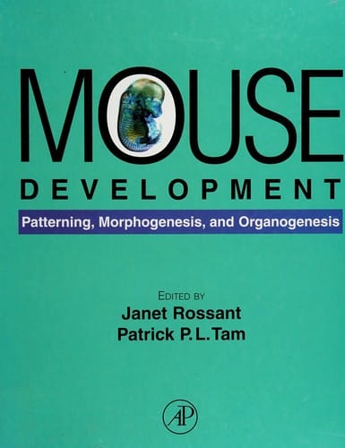 Mouse development