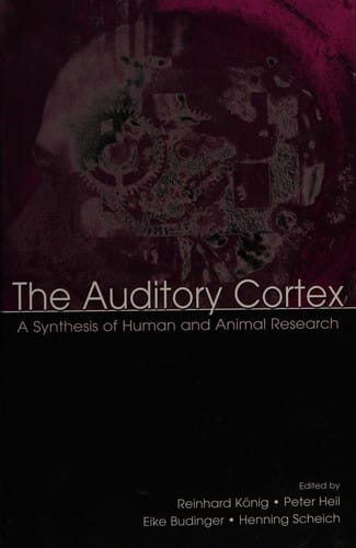 The auditory cortex