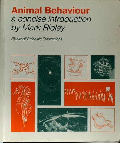 Animal behaviour