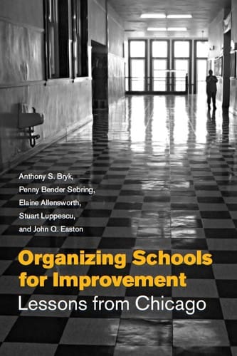 Organizing schools for improvement