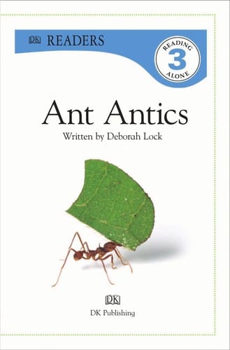 Ant antics
