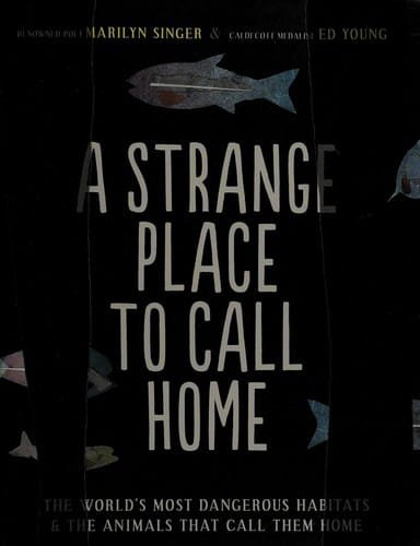 A strange place to call home