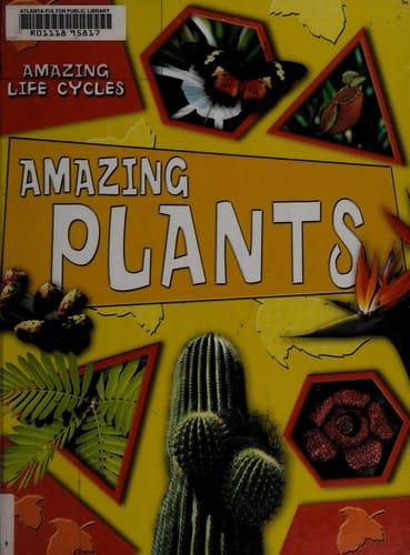 Amazing plants
