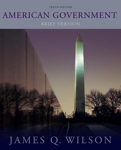 American government