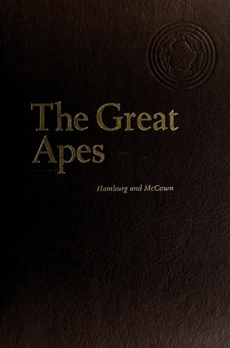 The Great apes