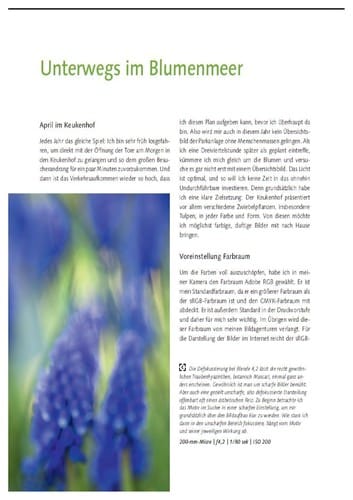 Fotoworkshops Natur & Wildlife