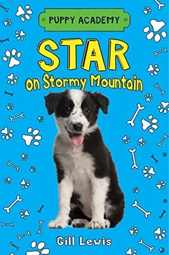 Star on Stormy Mountain