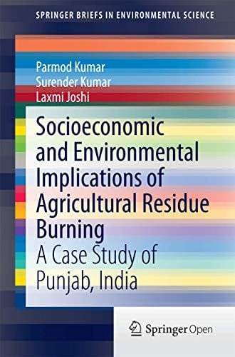 Socioeconomic and Environmental Implications of Agricultural Residue Burning: A Case Study of Punjab, India