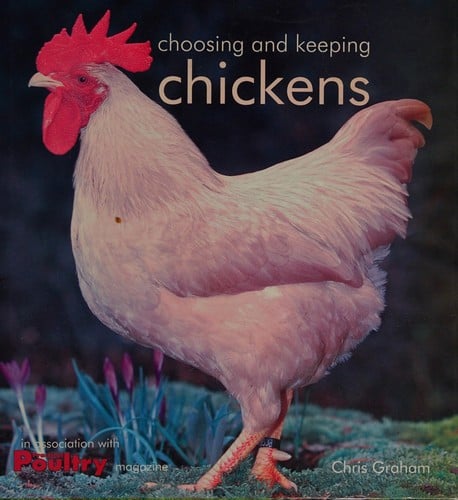 Choosing and keeping chickens