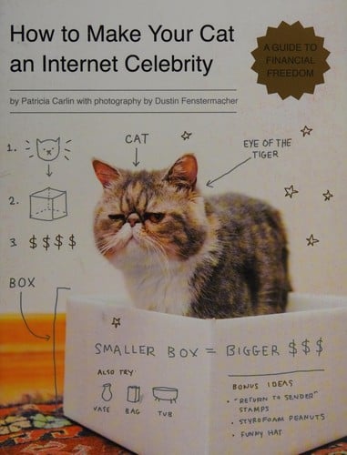 How to make your cat an internet celebrity: a guide to financial freedom