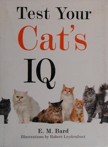 Test your cat's IQ