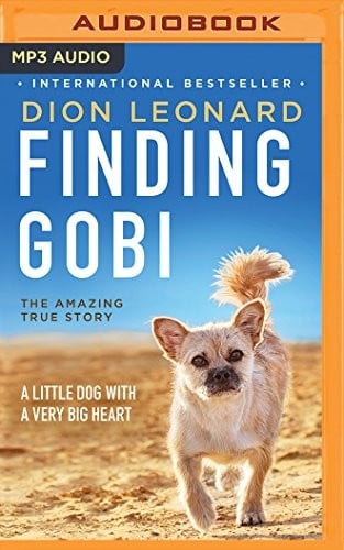 Finding Gobi