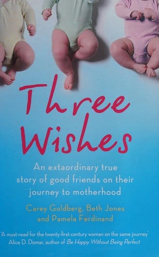 Three wishes: an ext[r]aordinary true story of good friends on their journey to motherhood