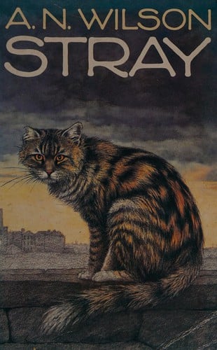 Stray.