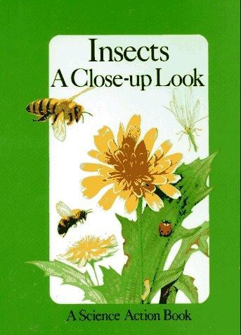 Insects: a close-up look
