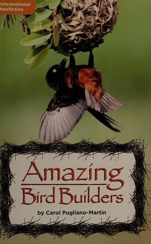 Amazing bird builders