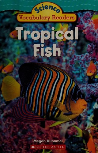 Tropical fish