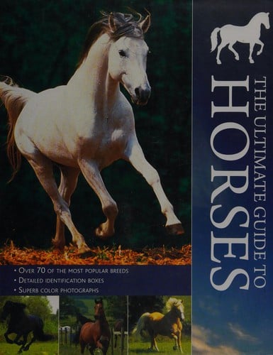 The ultimate guide to horses