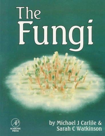 The Fungi