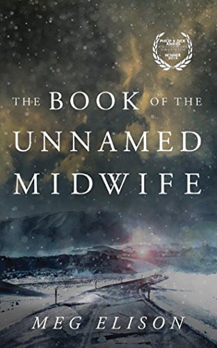 The Book of the Unnamed Midwife