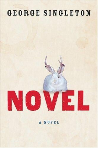 Novel