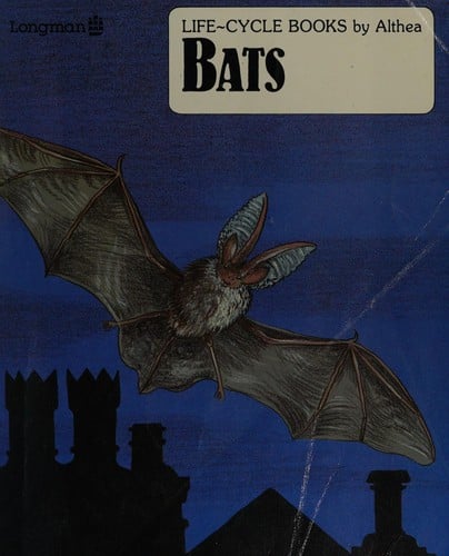 Bats: based on the Long eared bat