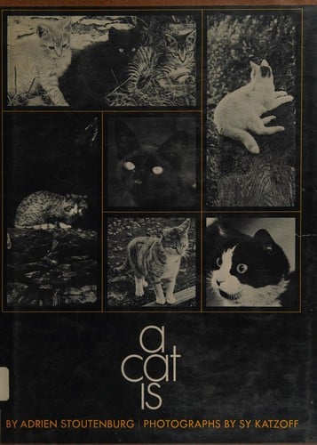 A cat is.