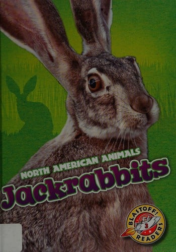 Jackrabbits