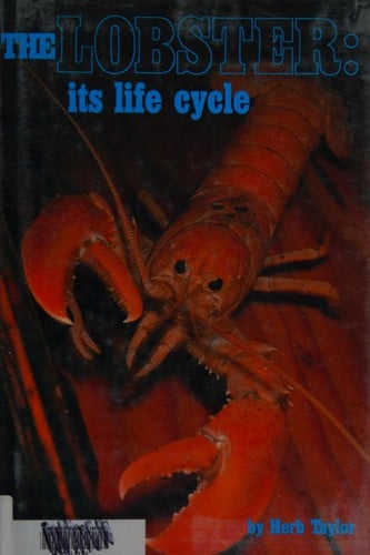 The lobster, its life cycle