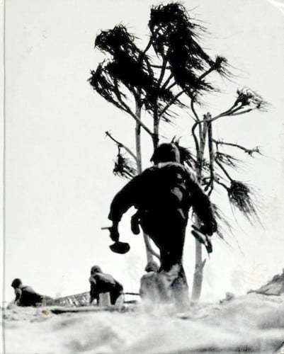 Island Fighting (World War II)