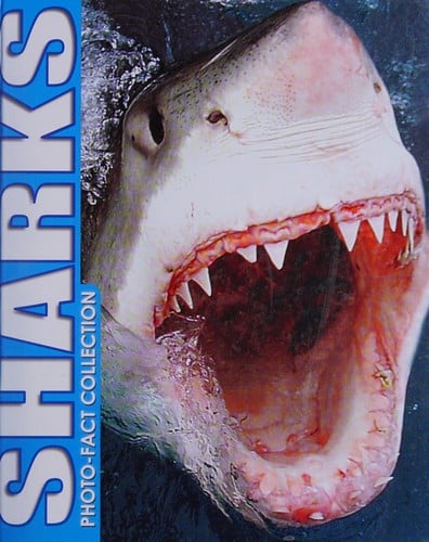 Sharks