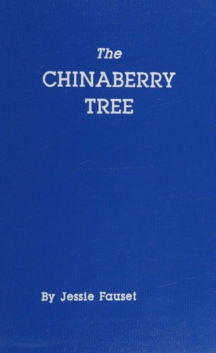 The Chinaberry Tree: A Novel of American Life