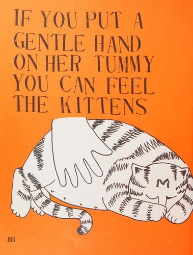 Welcome to the world: how Mary has kittens