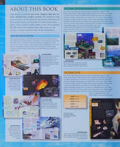 Ocean: the world's last wilderness revealed