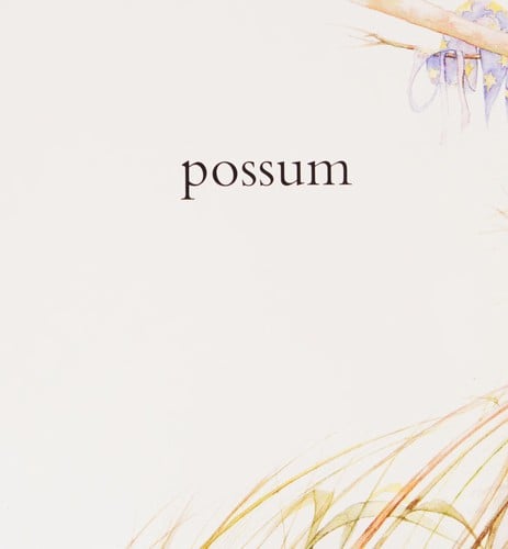 Possum magic: Animals