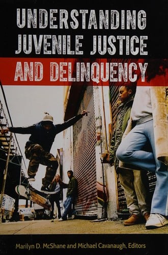 Understanding Juvenile Justice and Delinquency