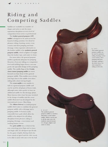 The complete horse and rider: a practical handbook of riding and an illustrated guide to riding tack