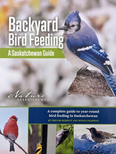 Backyard Bird Feeding: A Saskatchewan Guide