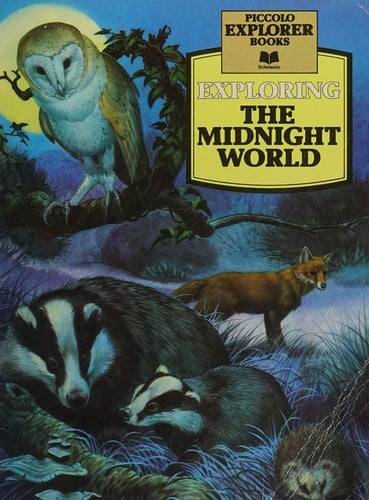 Exploring the Midnight World