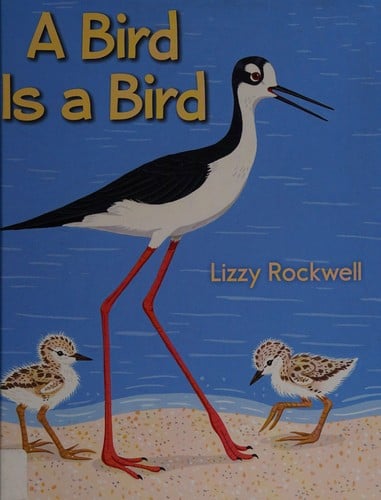 A bird is a bird